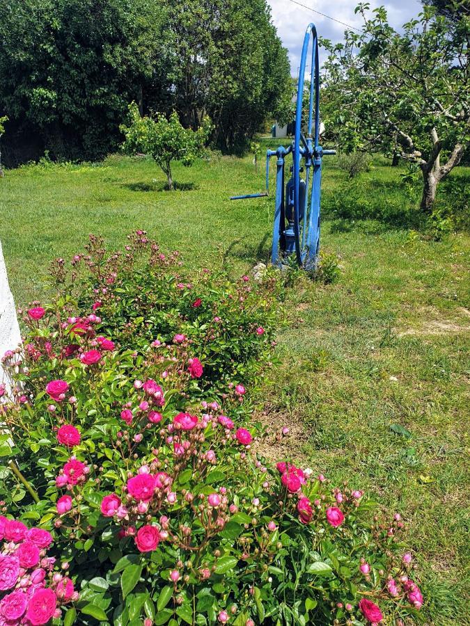 شقة Sondela Self Catering ساو مارتينهو دو بورتو المظهر الخارجي الصورة