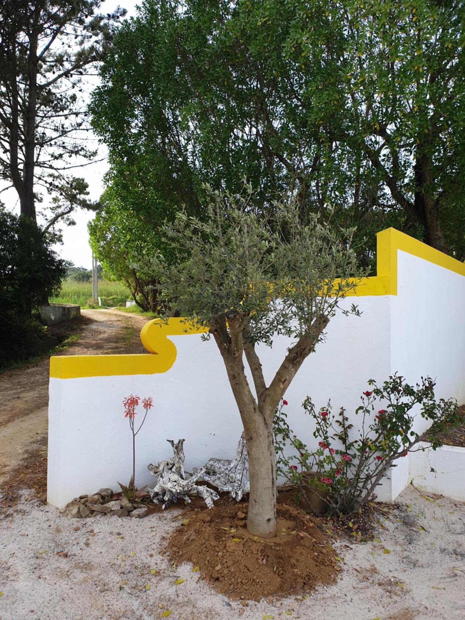 شقة Sondela Self Catering ساو مارتينهو دو بورتو المظهر الخارجي الصورة